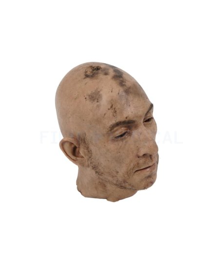 Severed Synthetic Head